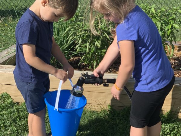 working together (2)